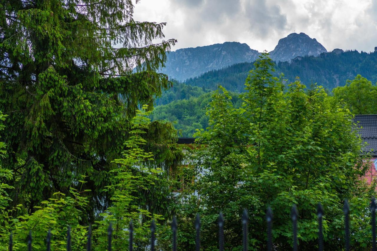 Pokoje Z Widokiem Na Gory I Prywatny Domek Z Zadaszona Altana - Grillem I Ogniskiem. Zakopane Kültér fotó