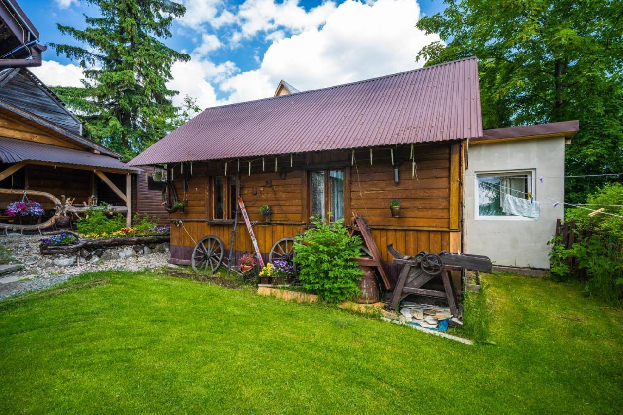 Pokoje Z Widokiem Na Gory I Prywatny Domek Z Zadaszona Altana - Grillem I Ogniskiem. Zakopane Kültér fotó