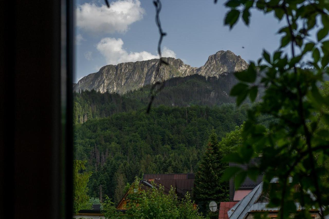 Pokoje Z Widokiem Na Gory I Prywatny Domek Z Zadaszona Altana - Grillem I Ogniskiem. Zakopane Kültér fotó